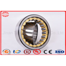 The High Speed Low Noise Cylindrical Roller Bearing (NJ2334EM)